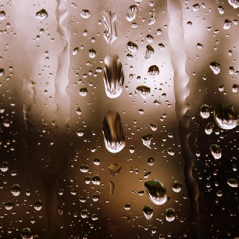 image liquid_lr_0022-jpg
