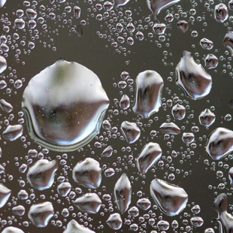 image liquid_lr_0023-jpg