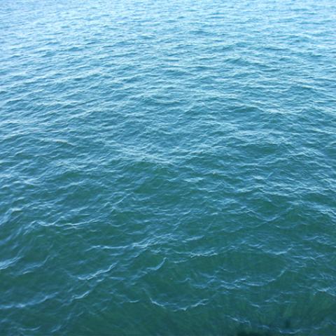 image liquid_lr_0026-jpg