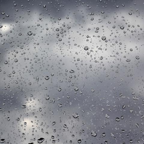 image liquid_lr_0028-jpg