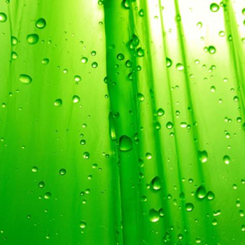 image liquid_lr_0040-jpg