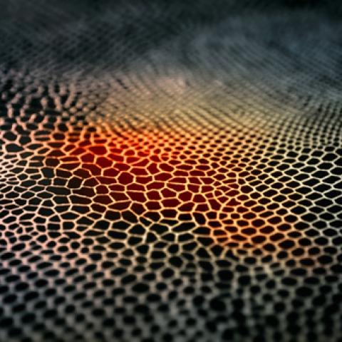 image metal_lr_0010-jpg