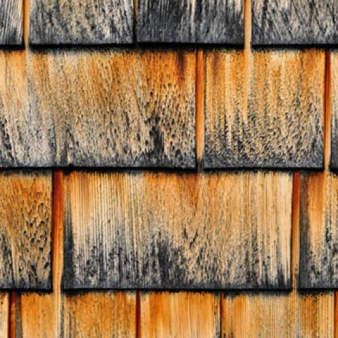 image wood_lr_0002-jpg