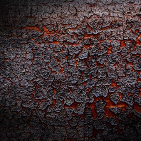 image wood_lr_0003-jpg
