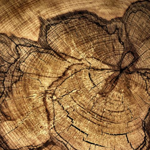image wood_lr_0004-jpg
