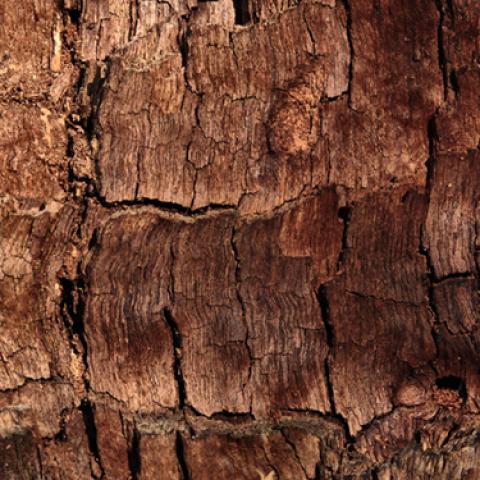 image wood_lr_0005-jpg