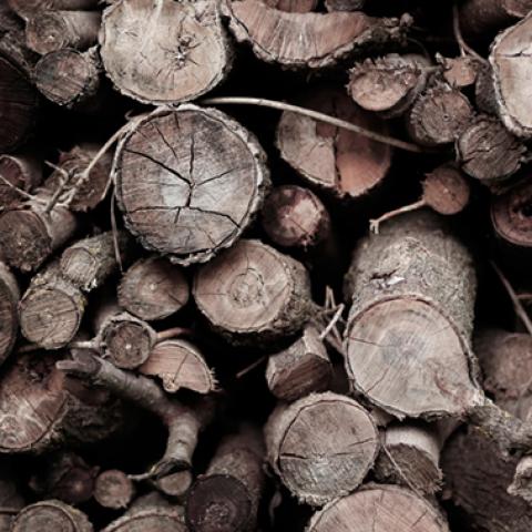 image wood_lr_0007-jpg