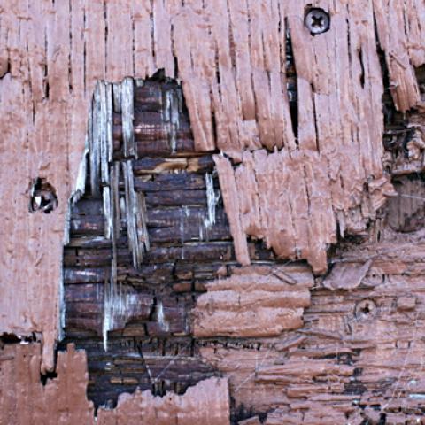 image wood_lr_0012-jpg