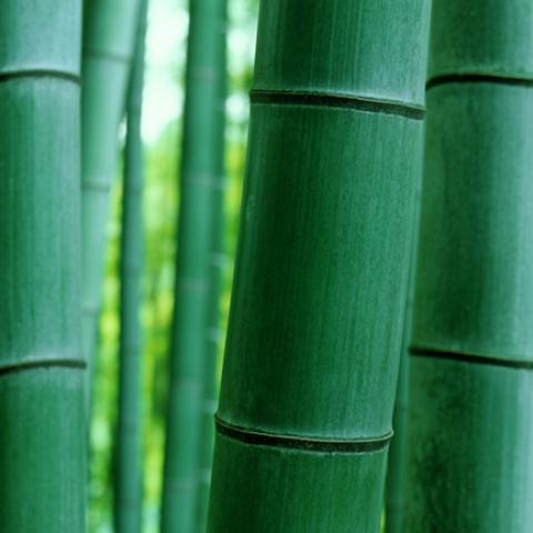 image wood_lr_0013-jpg