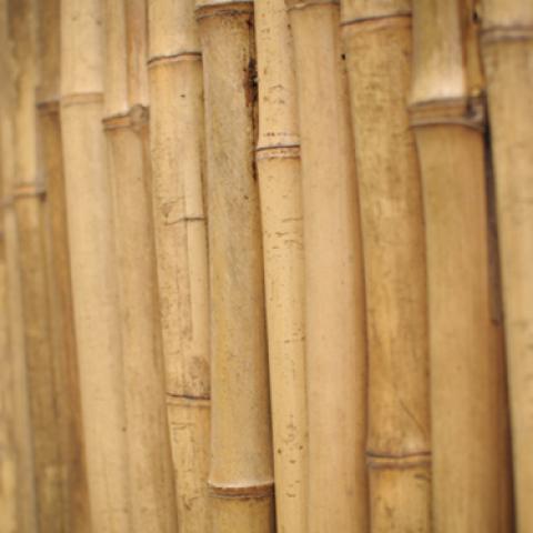image wood_lr_0017-jpg