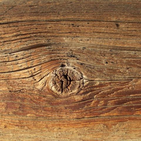 image wood_lr_0024-jpg