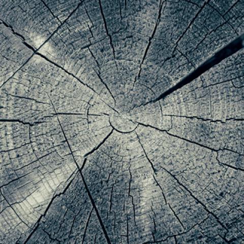 image wood_lr_0028-jpg