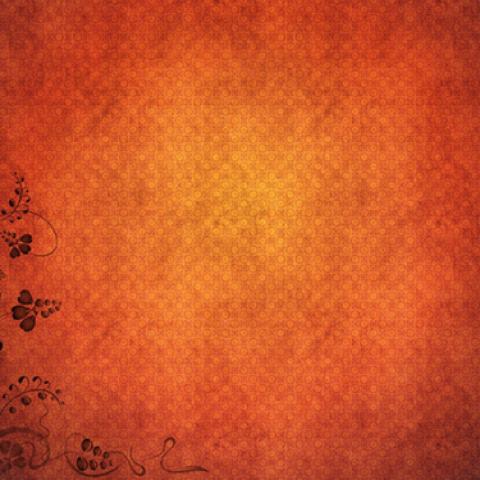 image vintage_lr_0048-jpg