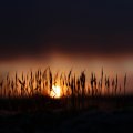 image sunrise_and_sunset_lr_0006-jpg